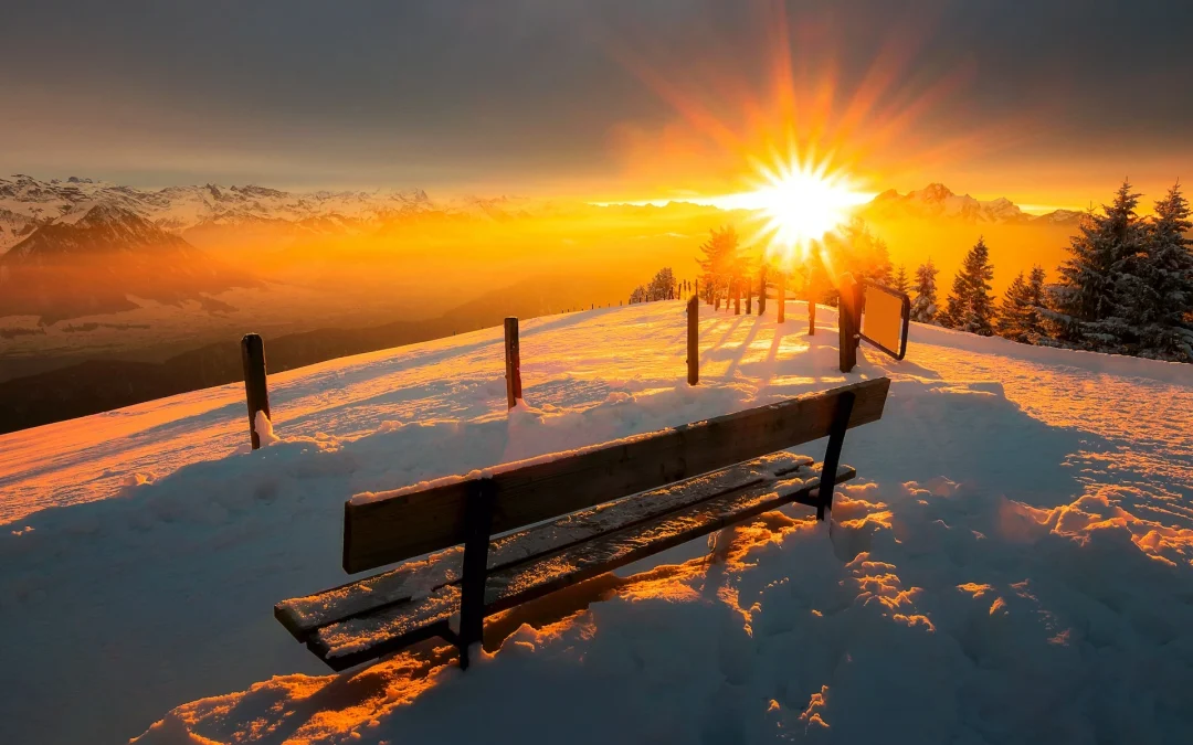 3. Cum protejam mobilierul de exterior in timpul iernii?